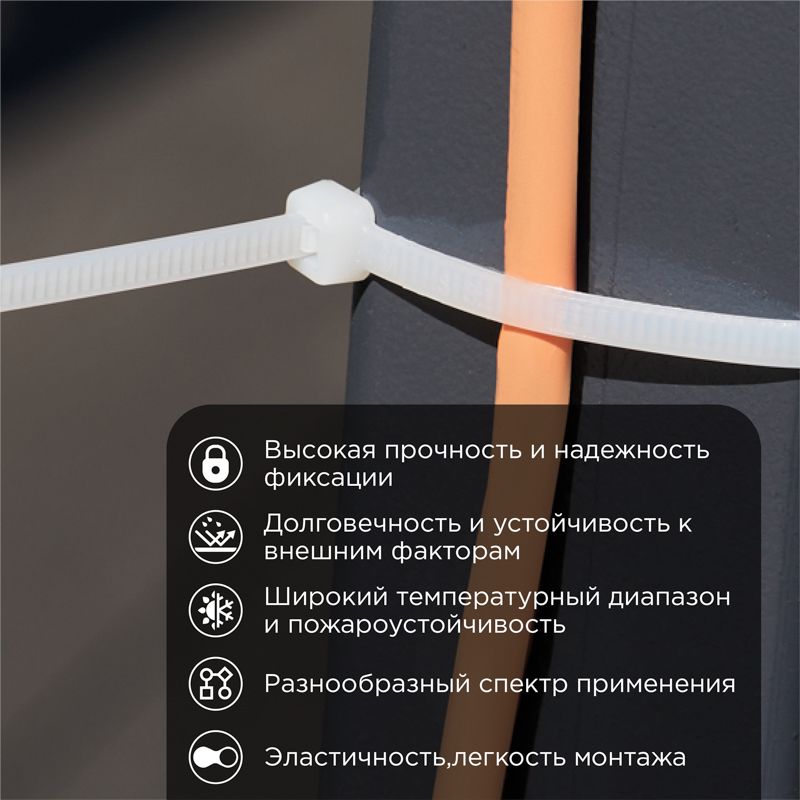 min-photo